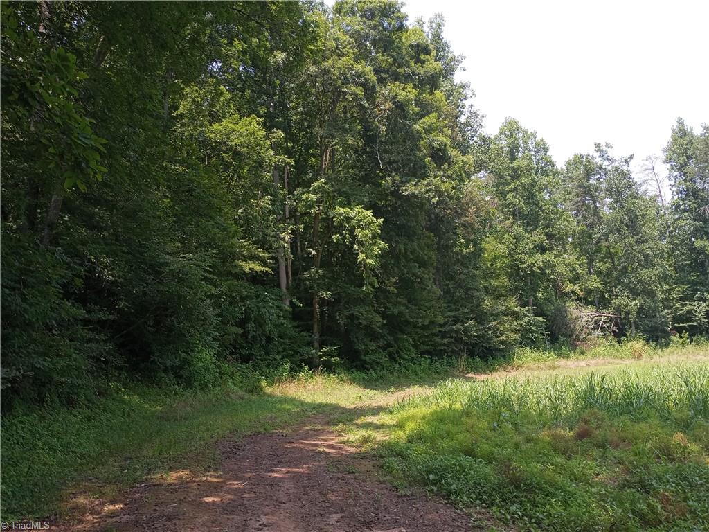 0 Mountain View Road Germanton, NC 27019 - Photo 5 of 10 Follow the dirt road past the empty house on left all the way to a large field on left and creek on the right