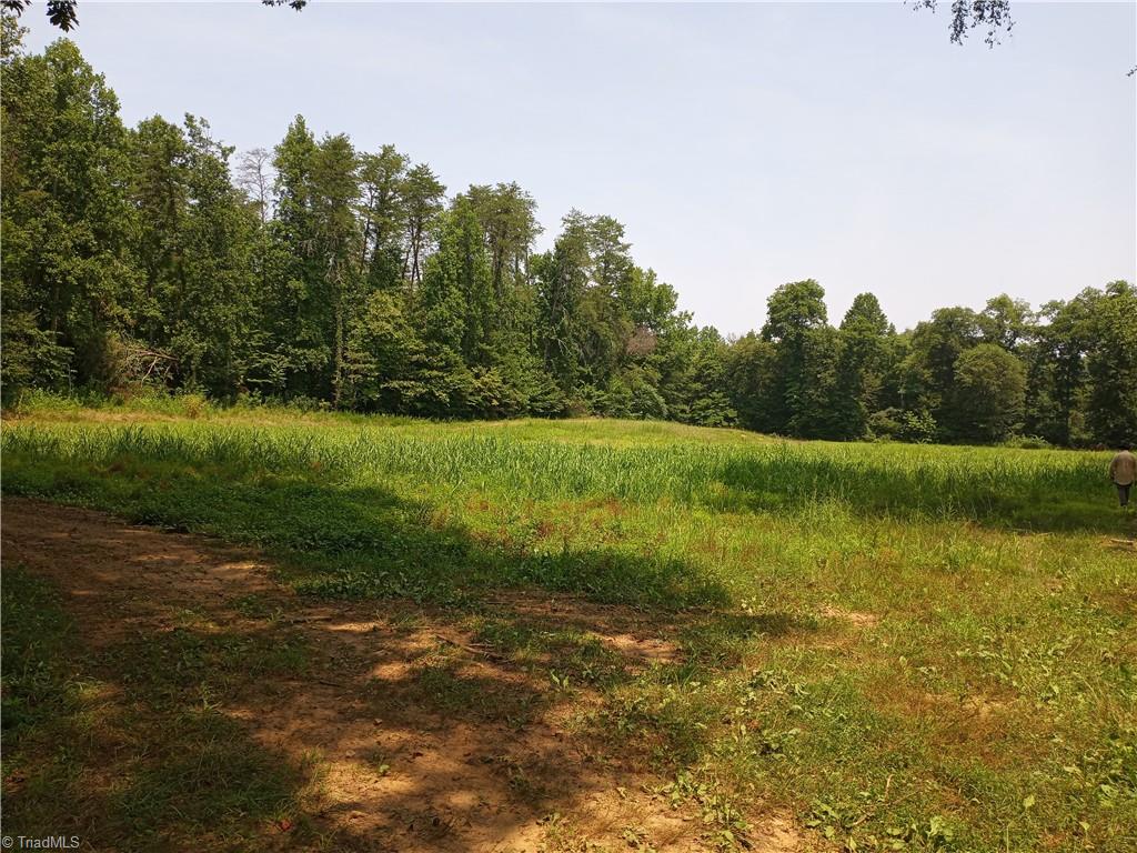 0 Mountain View Road Germanton, NC 27019 - Photo 6 of 10 Large field at left of creek at property beginning