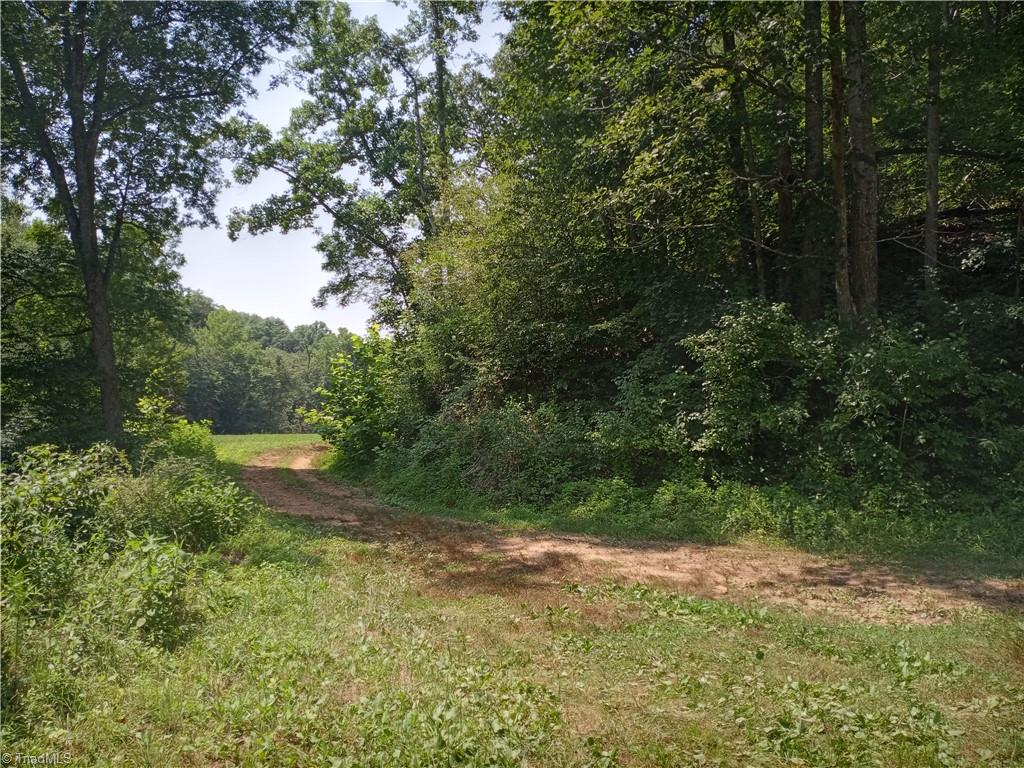 0 Mountain View Road Germanton, NC 27019 - Photo 8 of 10