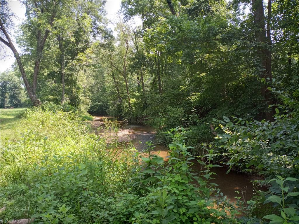 0 Mountain View Road Germanton, NC 27019 - Photo 10 of 10 Creek