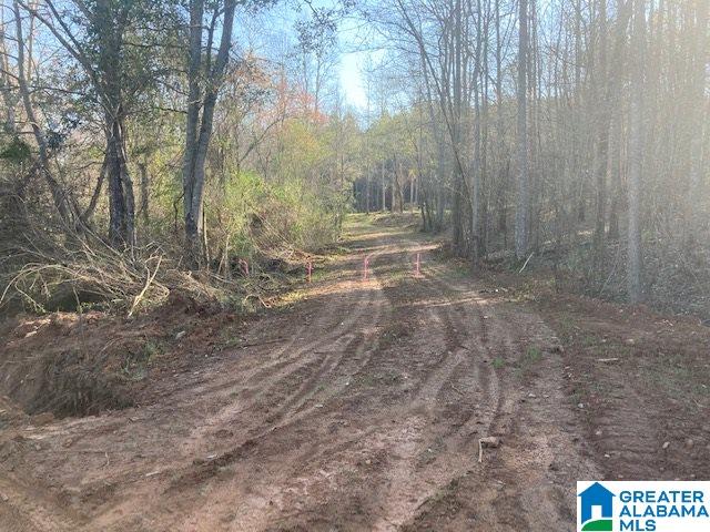 223 County Road, Unit 52 Lineville, AL 36266 - Photo 9 of 15
