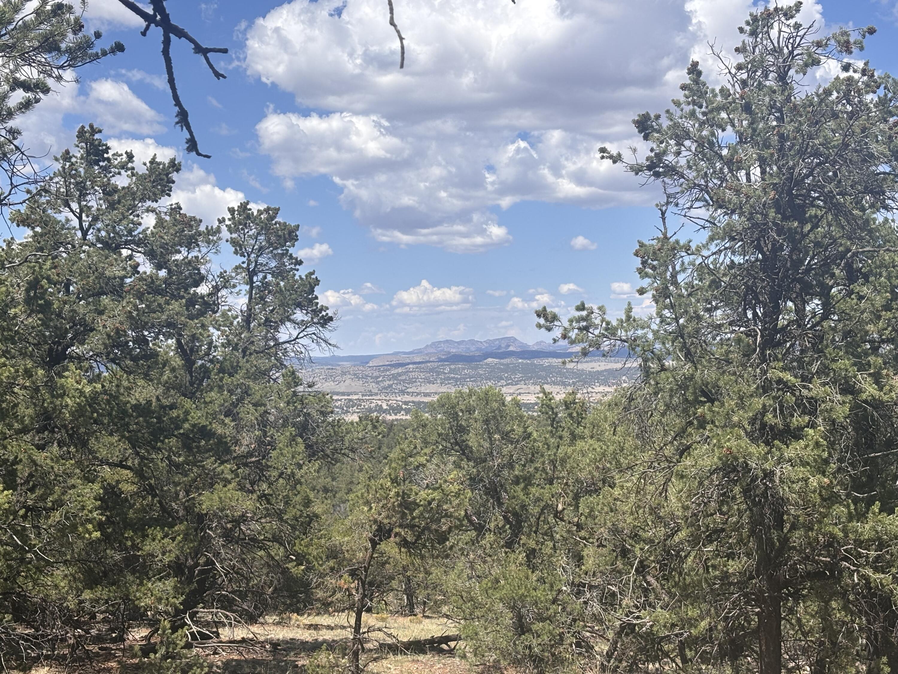 23 Tee Pee Trail Datil, NM 87821 - Photo 1 of 15 Gallery Image 1