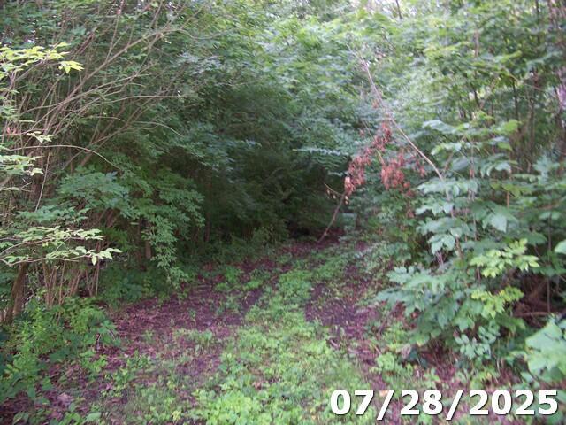 0 Owens Road East Marion, OH 43302 - Photo 3 of 7
