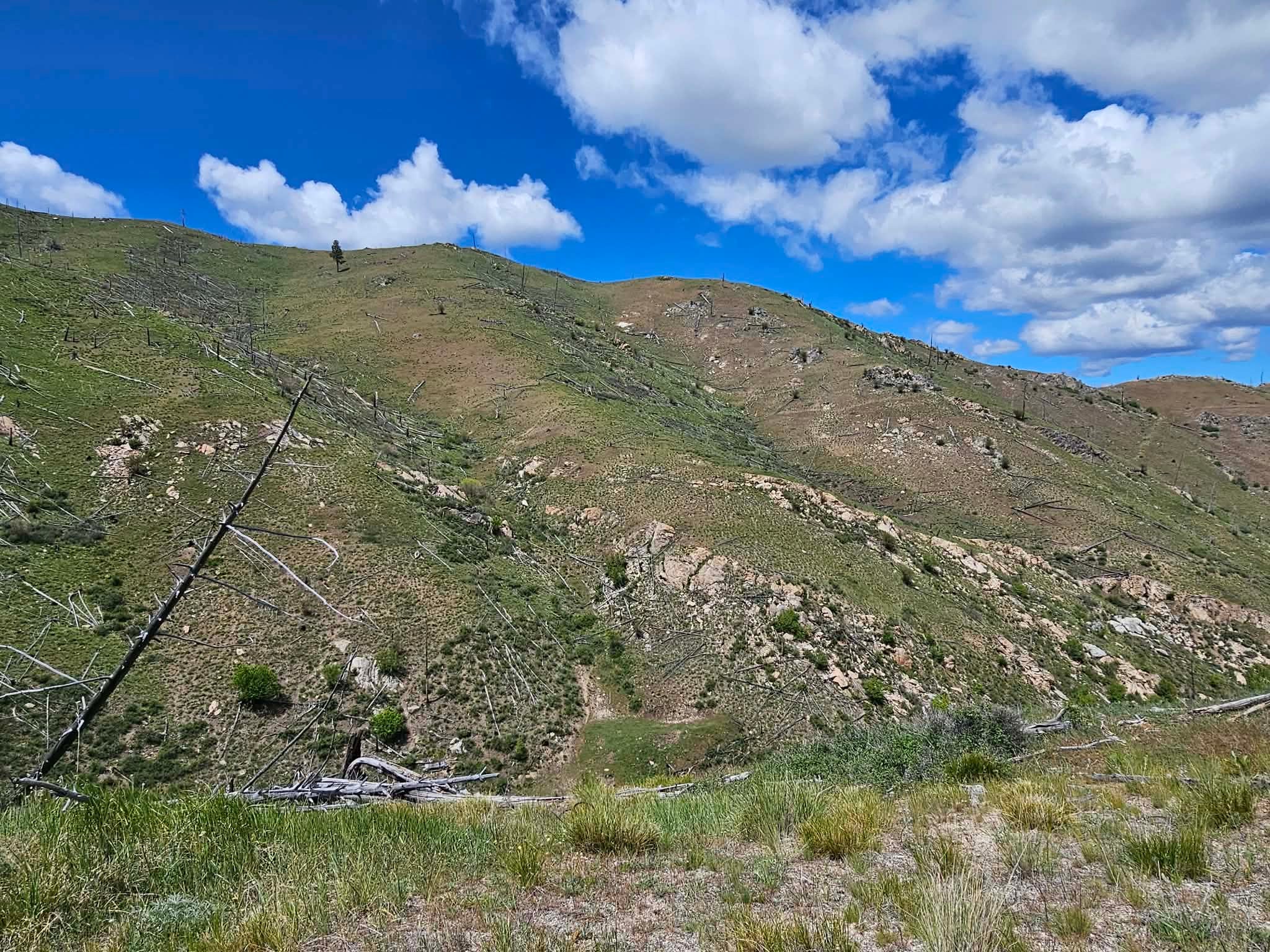 Nhn Blind Creek Draw Road Conner, MT 59827 - Photo 24 of 27 Gallery Image 24