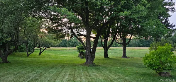 a view of field with trees