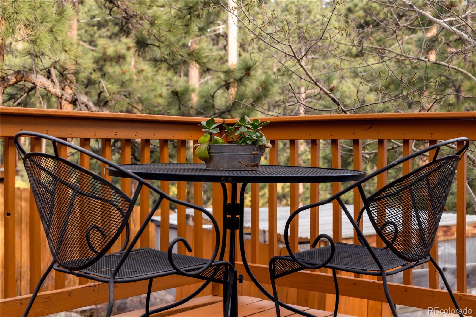 4805 Blue Spruce Road Evergreen, CO 80439 - Photo 5 of 43 a view of an outdoor seating
