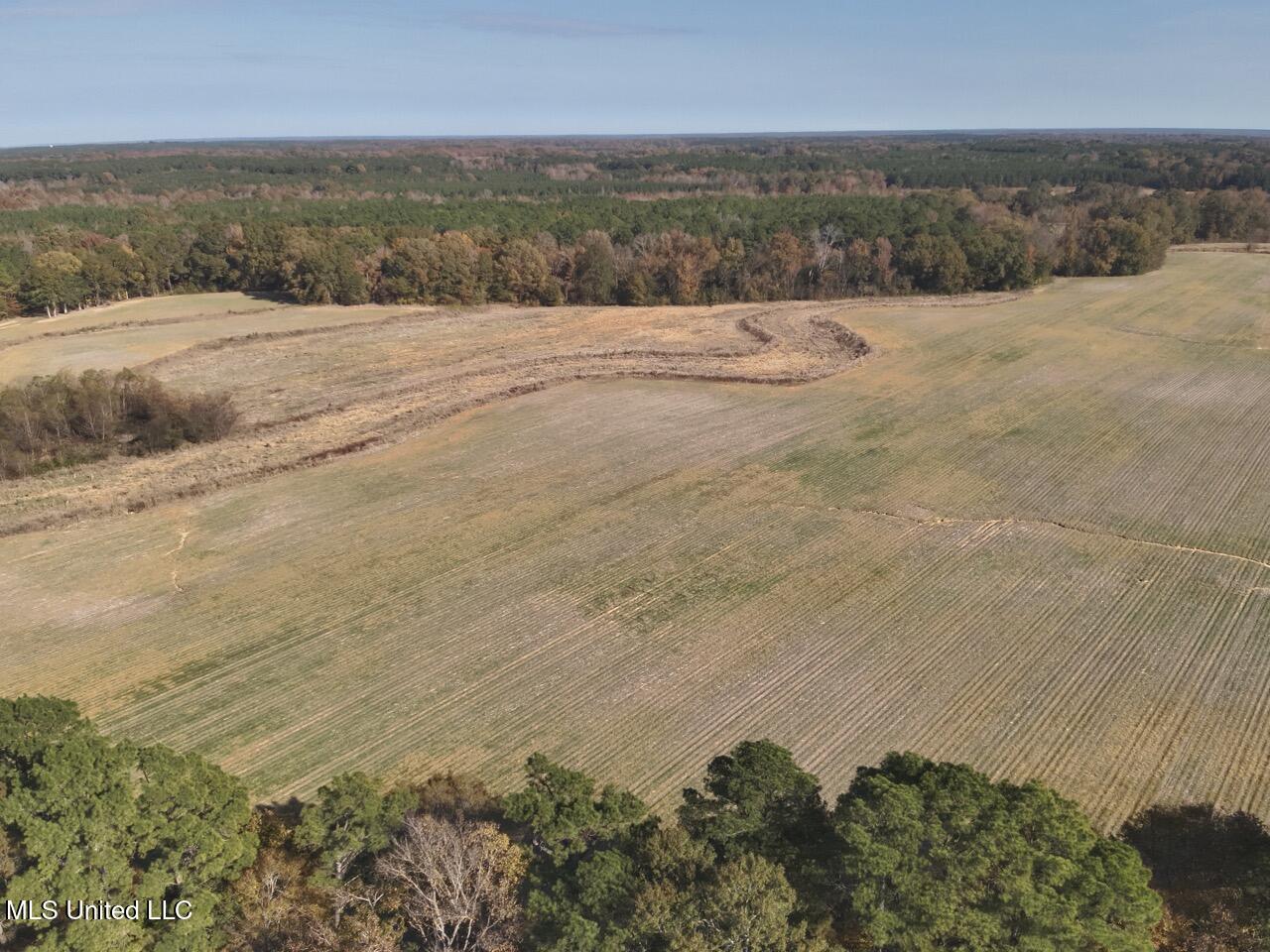 1800 Linwood Road Vaughan, MS 39179 - Photo 12 of 16 DJI_20251117135443_0018_V Large