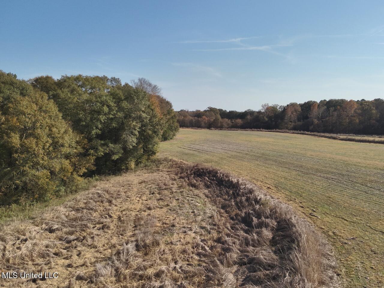 1800 Linwood Road Vaughan, MS 39179 - Photo 14 of 16 DJI_20251117135636_0021_V Large