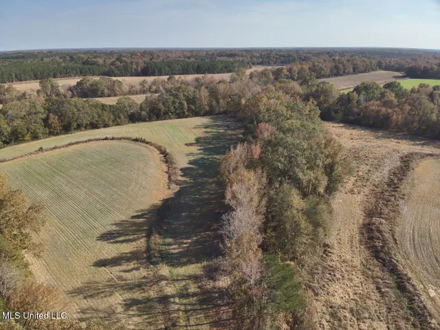 $675,000 | Linwood, Vaughan, MS 39179