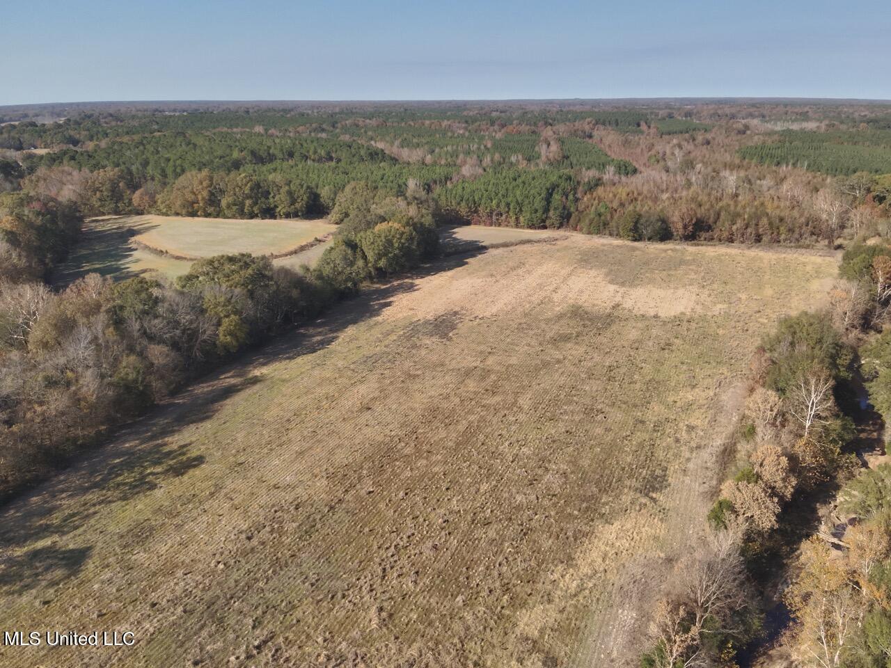 1800 Linwood Road Vaughan, MS 39179 - Photo 9 of 16 DJI_20251117135212_0012_V Large