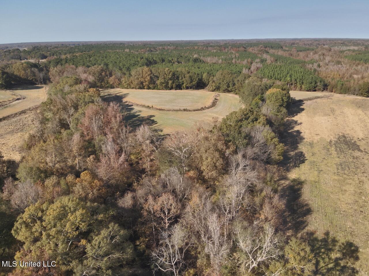 1800 Linwood Road Vaughan, MS 39179 - Photo 10 of 16 DJI_20251117135229_0013_V Large
