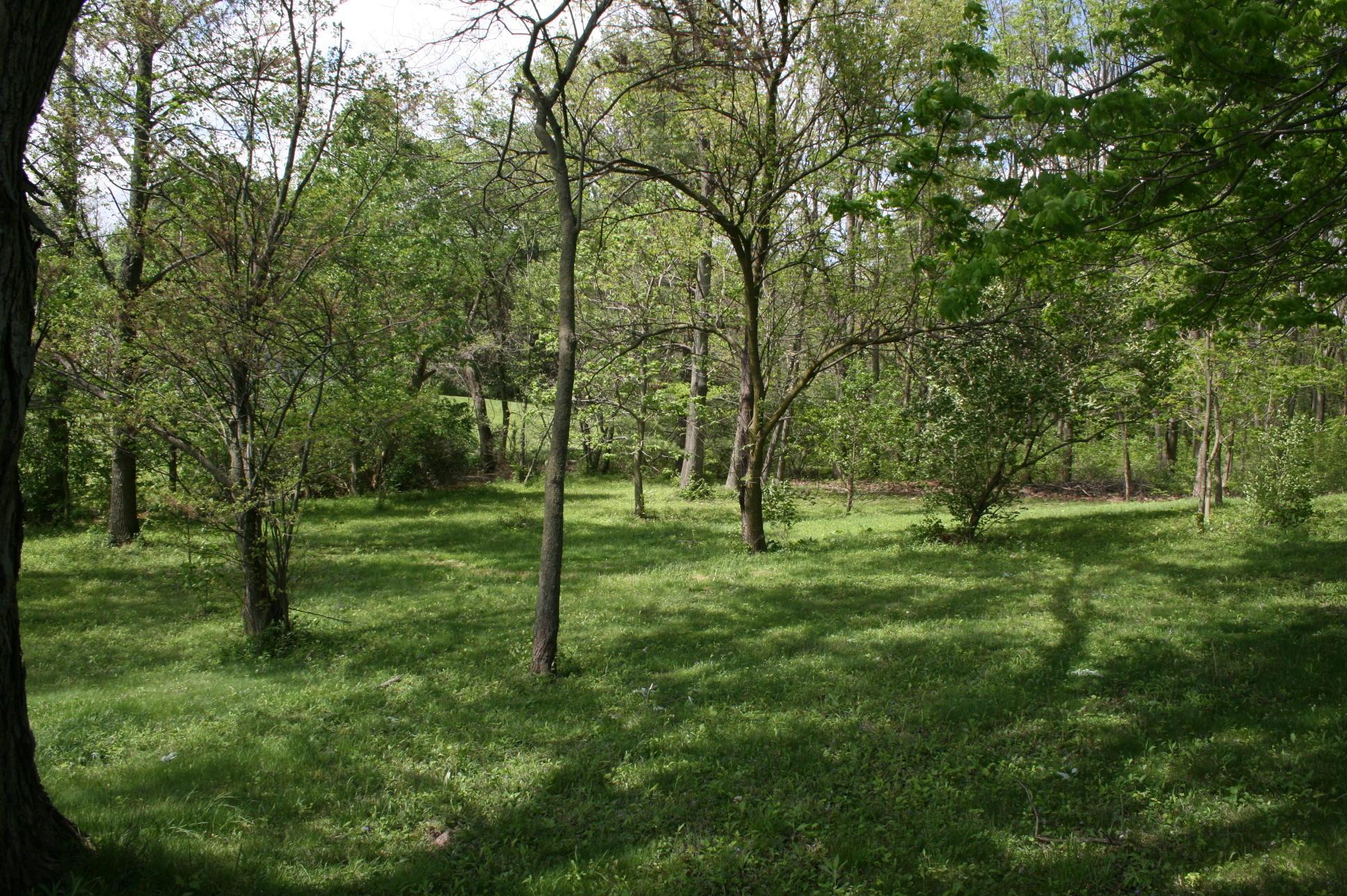 4264 Hyatts Road Delaware, OH 43015 - Photo 2 of 26
