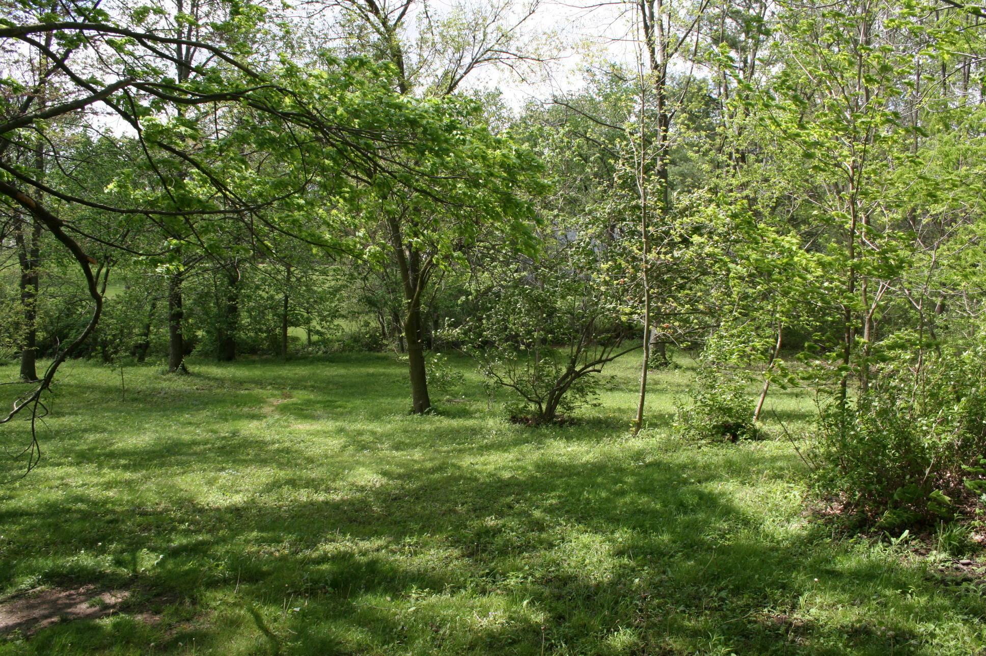 4264 Hyatts Road Delaware, OH 43015 - Photo 3 of 26