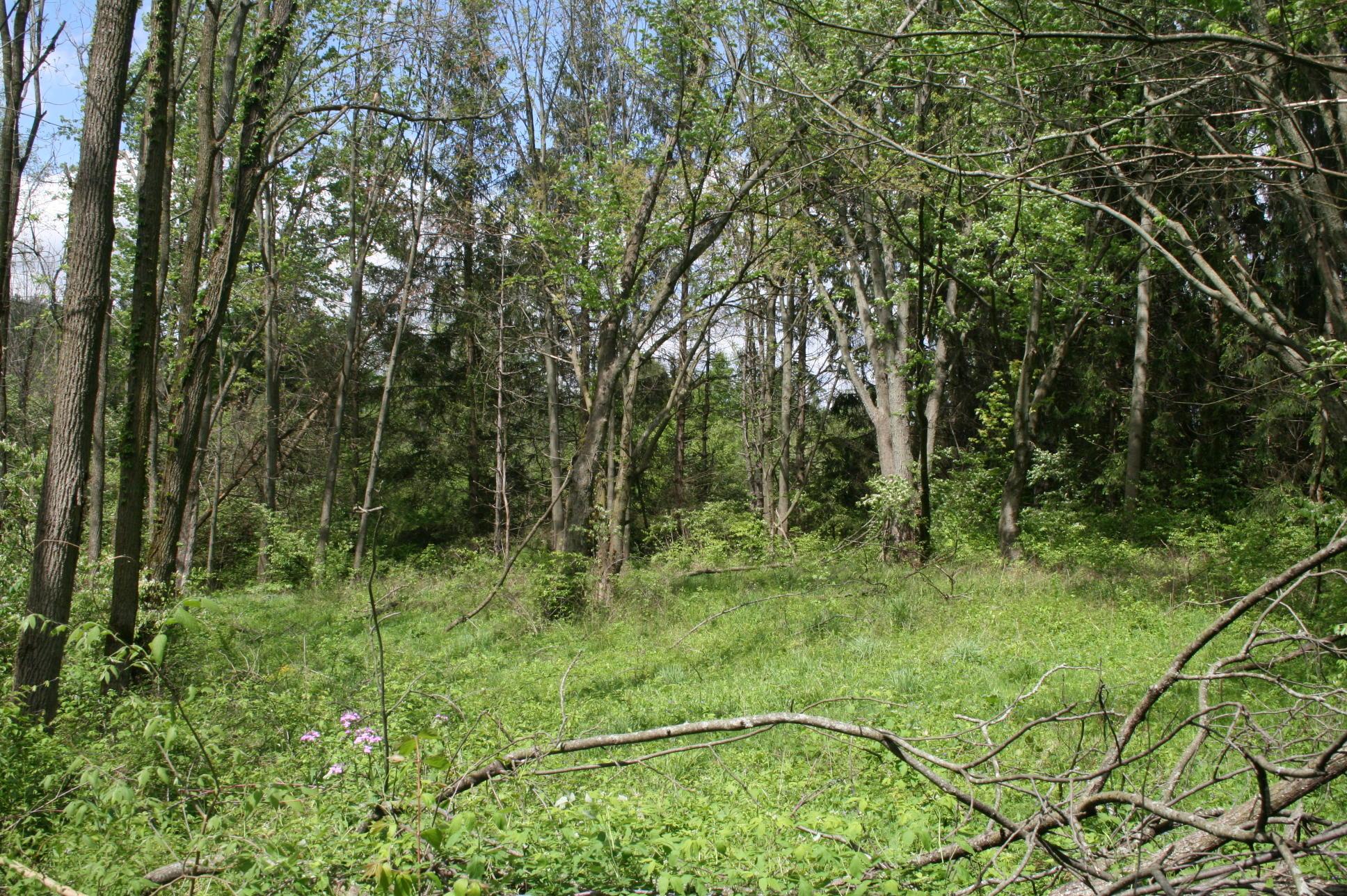 4264 Hyatts Road Delaware, OH 43015 - Photo 8 of 26