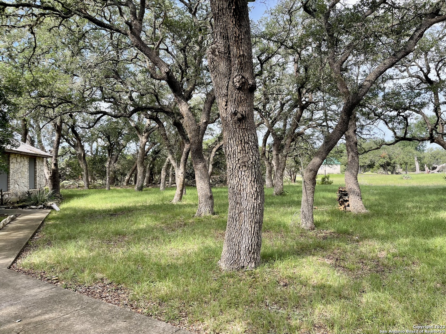 1657 Acacia Parkway Spring Branch, TX 78070 - Photo 23 of 35
