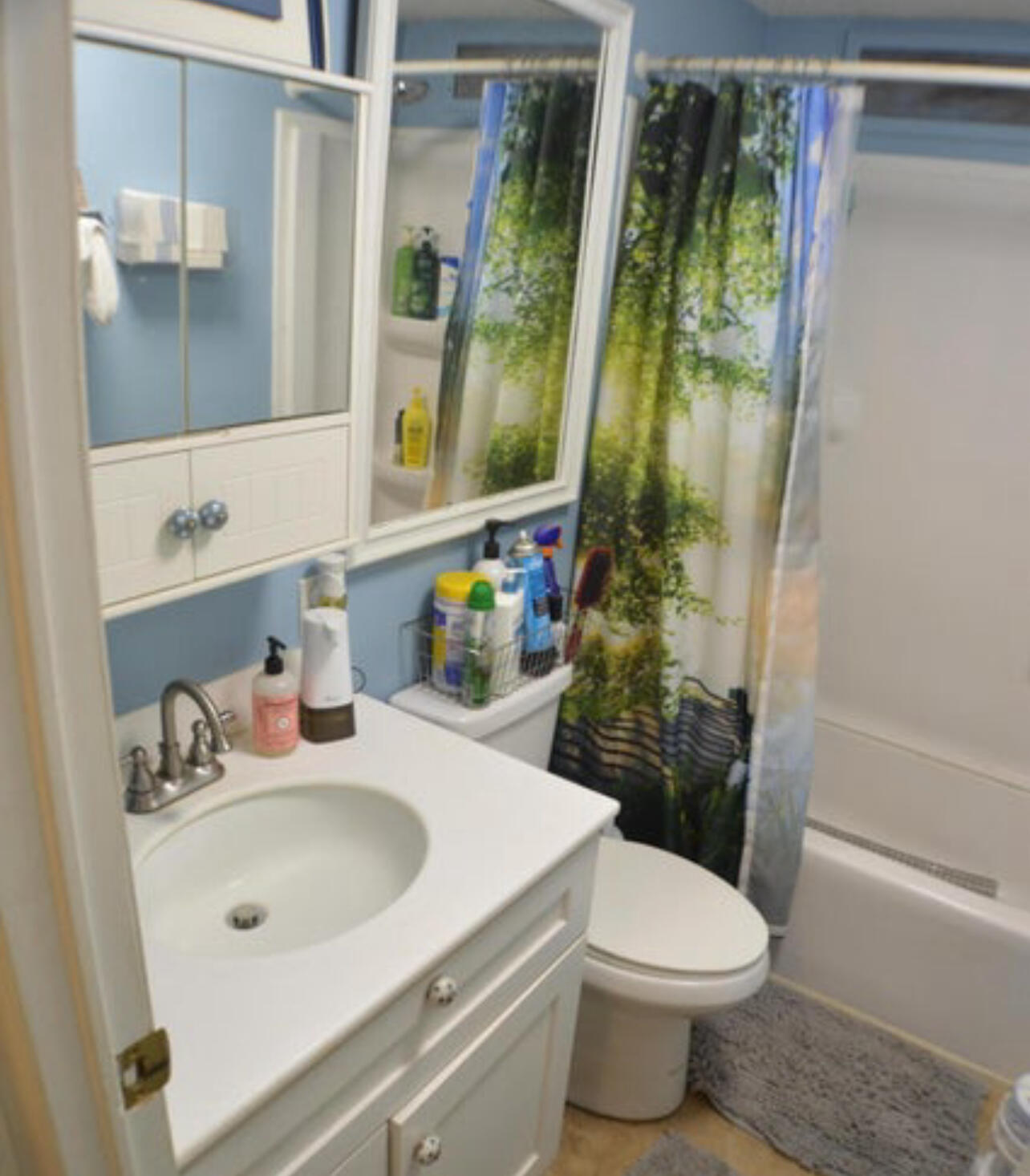 6554 Highway 441 Okeechobee, FL 34974 - Photo 21 of 22 a bathroom with a sink toilet and shower