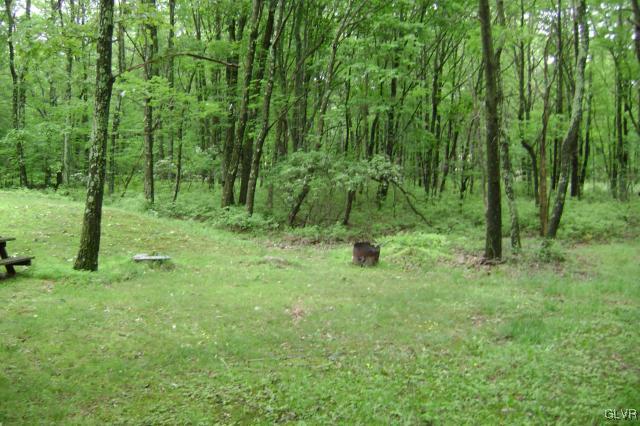 351 Village Road Effort, PA 18330 - Photo 13 of 13 Back Yard