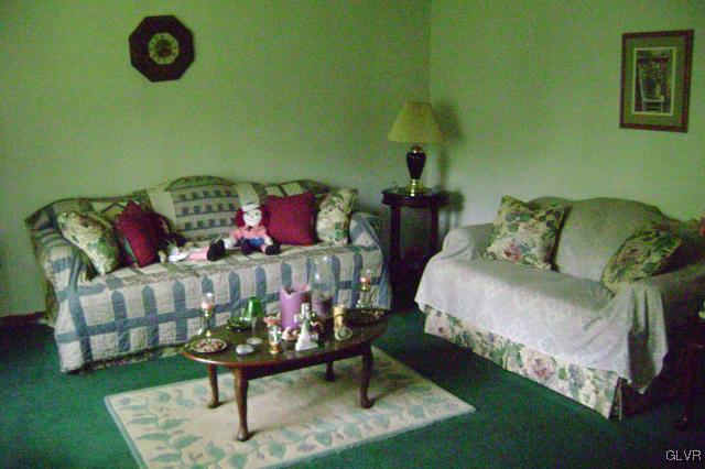 351 Village Road Effort, PA 18330 - Photo 2 of 13 Living Room