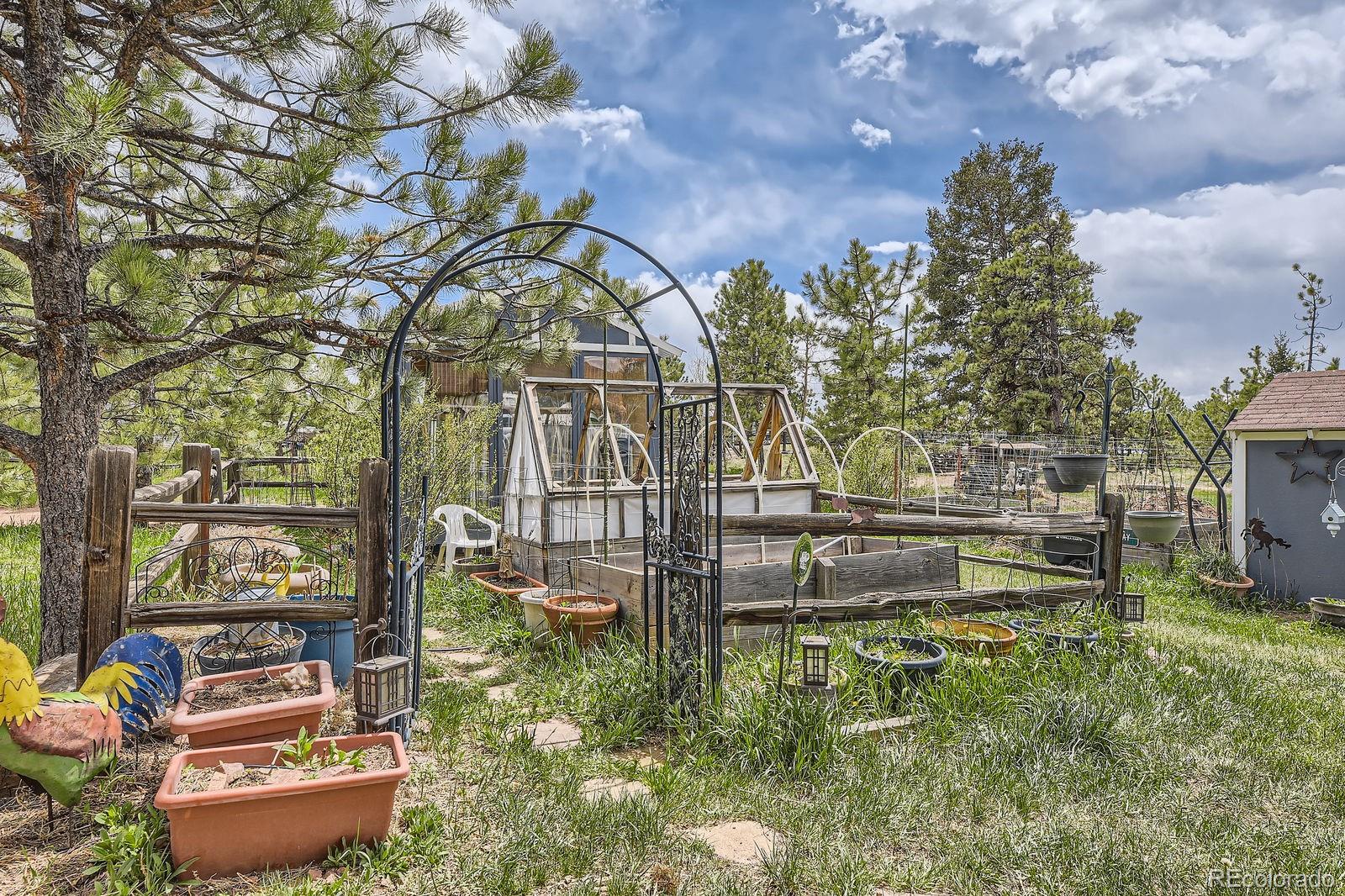 34886 Mohawk Trail Pine, CO 80470 - Photo 23 of 34 a backyard of a house with lots of green space