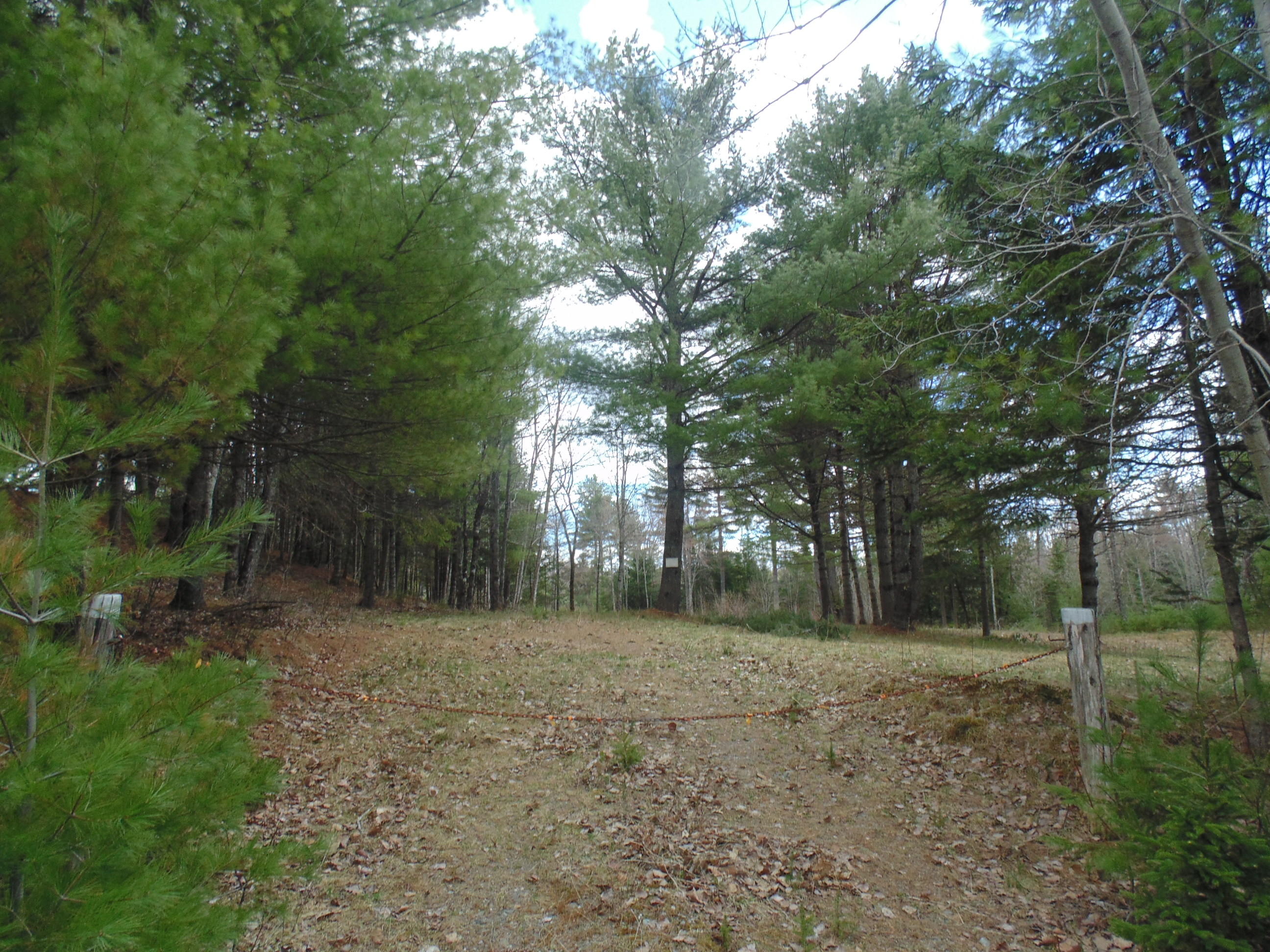 537 Airline Road Amherst, ME 04605 - Photo 52 of 57 DSC06075