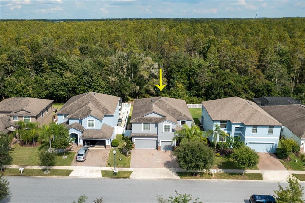 11551 Crestridge Loop New Port Richey, FL 34655 - Photo 1 of 1 Gallery Image 1