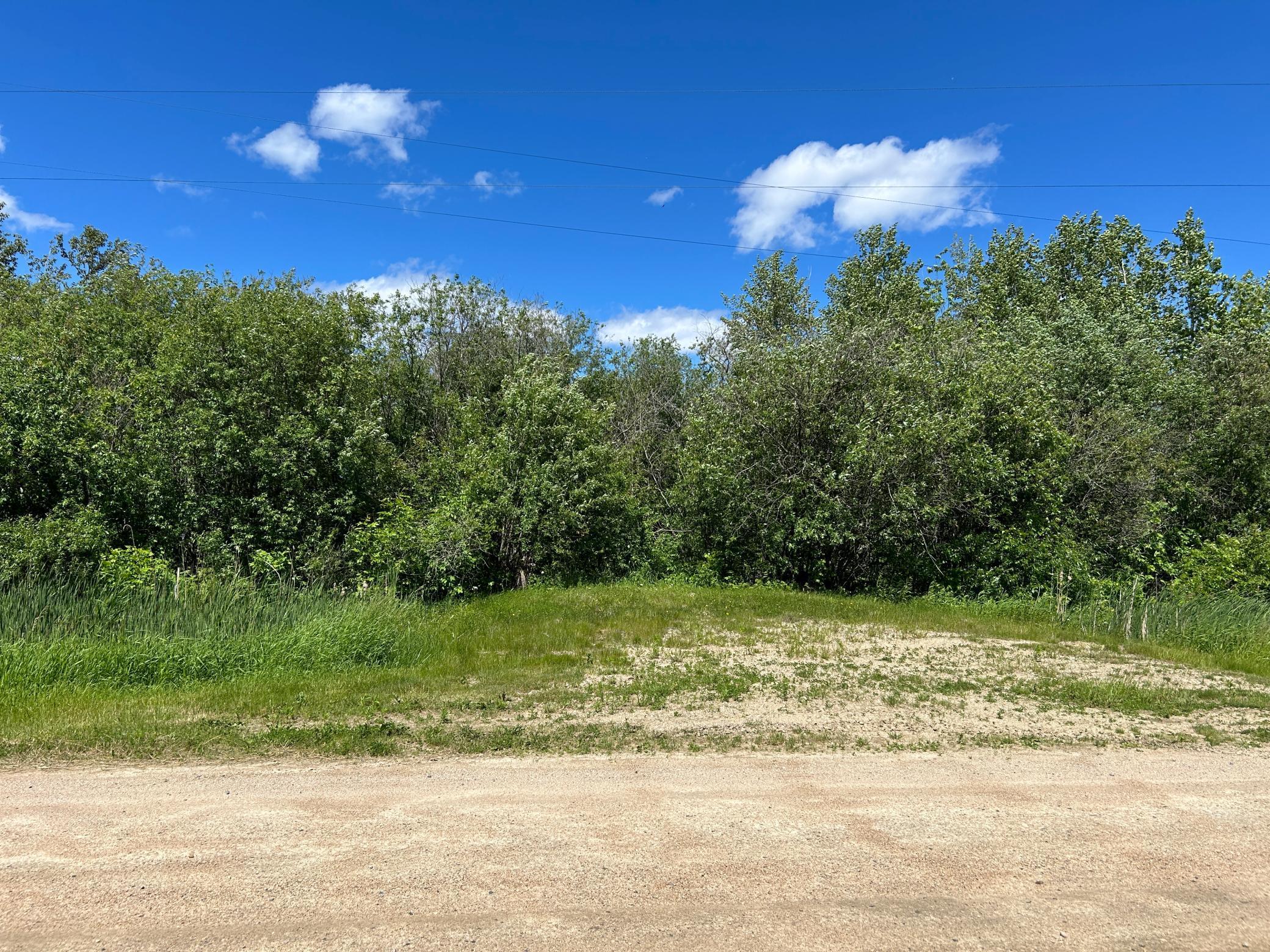 Tbd Graceton Beach Road Northwest Williams, MN 56686 - Photo 5 of 9