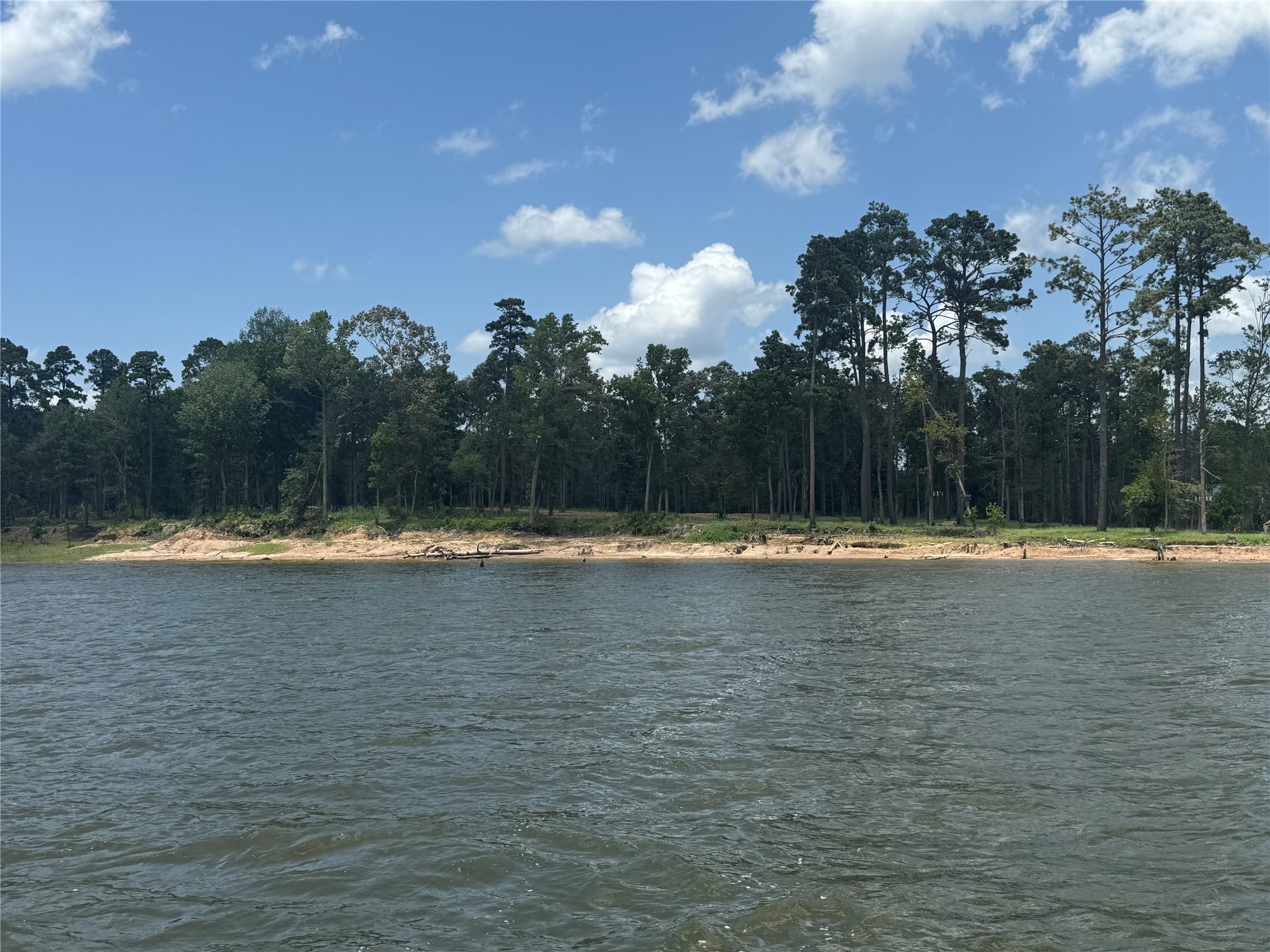 347 Debbie Lane Bronson, TX 75930 - Photo 17 of 17 a view of swimming pool