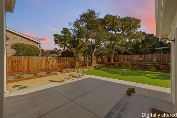 a view of backyard with tree