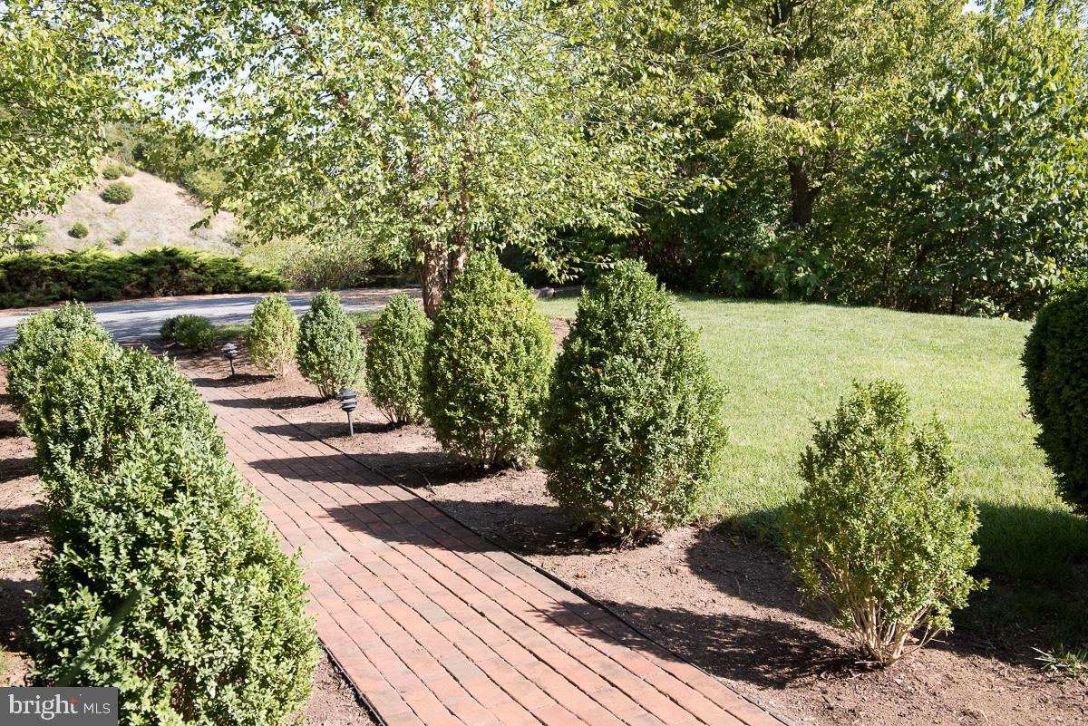4142 Guard Hill Road Front Royal, VA 22630 - Photo 43 of 70 Gallery Image 43