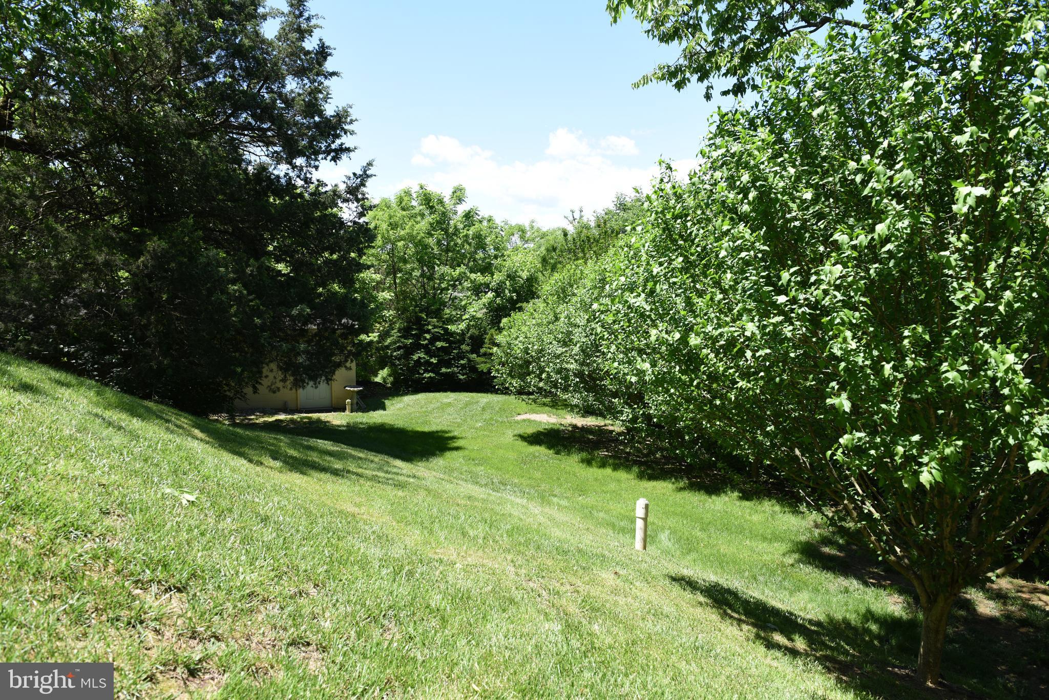 4142 Guard Hill Road Front Royal, VA 22630 - Photo 58 of 70 Gallery Image 58