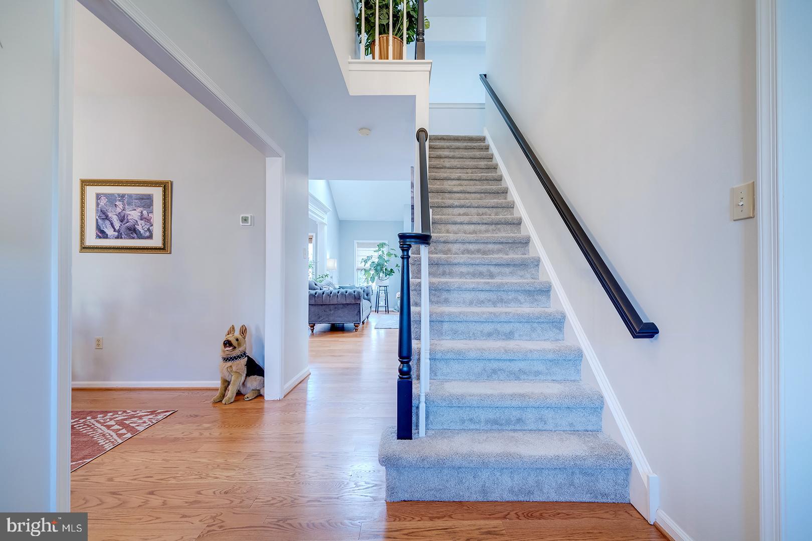 2 Michigan State Drive Newark, DE 19713 - Photo 2 of 65 a view of entryway and hall with wooden floor