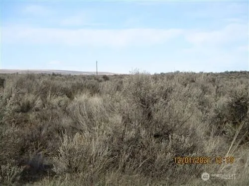 a view of a dry field