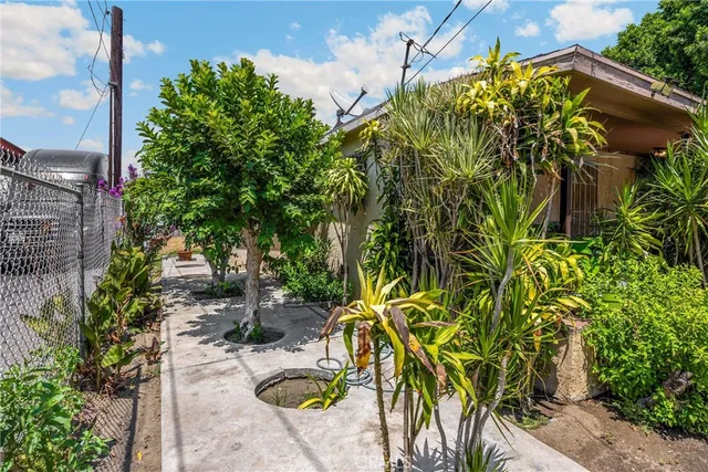 a backyard of a tree