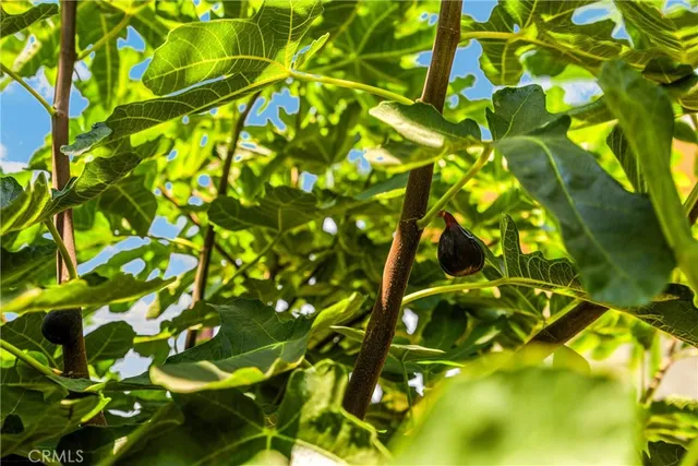 a view of a porch with furniture