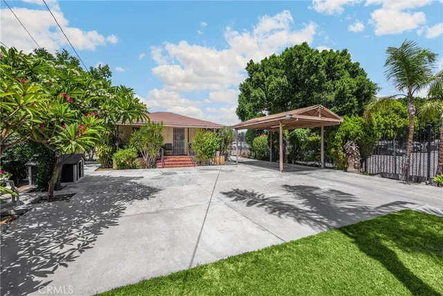 a view of a yard with plants and trees