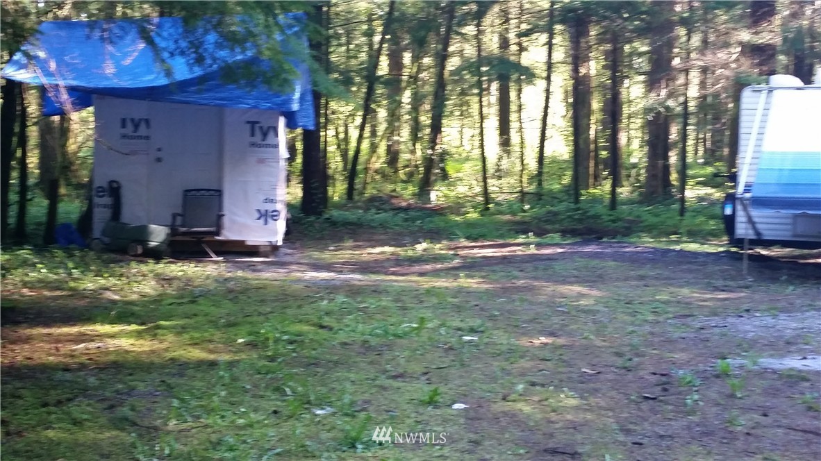 3017 Tower Road Maple Falls, WA 98266 - Photo 6 of 21