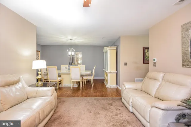 a living room with furniture potted plant and a lamp