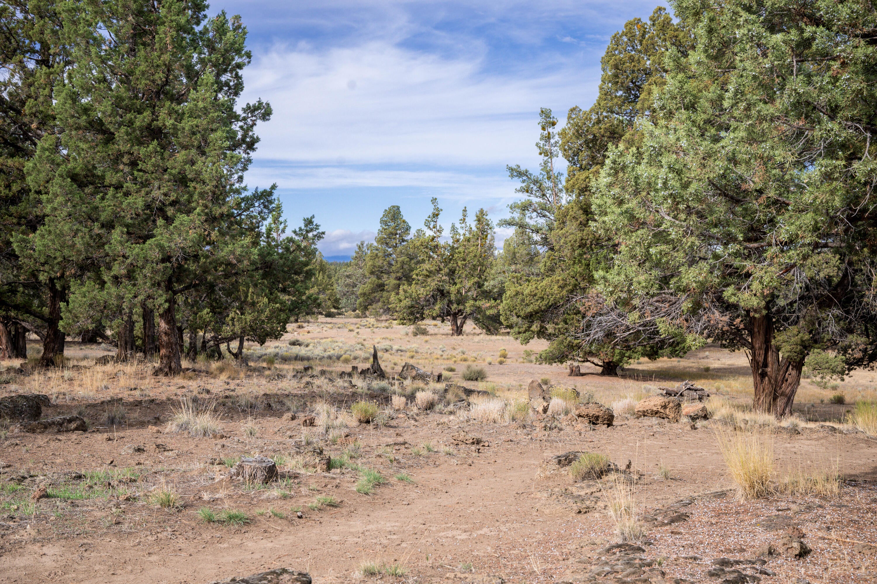 61575 Gosney Road Bend, OR 97702 - Photo 26 of 28 Z62_3174-HDR