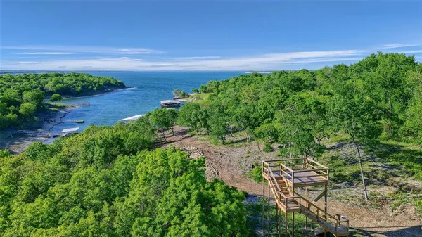 a view of a yard with a tree