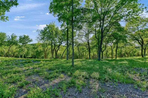 a view of a lush green space