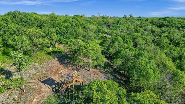 a view of a lush green forest with lots of trees