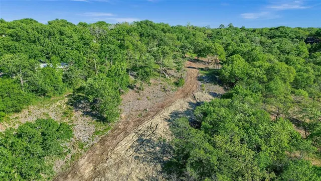 a view of a lush green forest with lots of trees