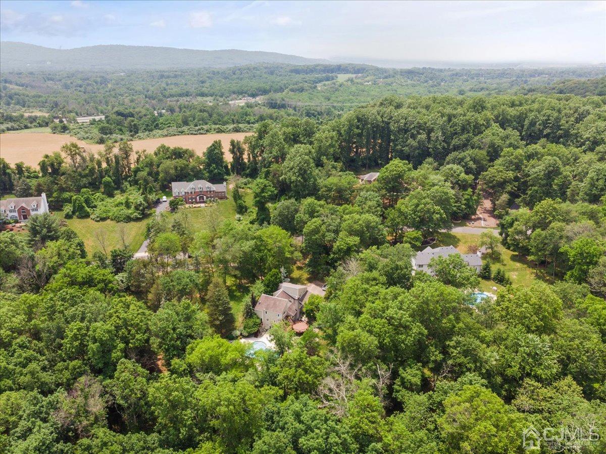18 Lance Road Lebanon, NJ 08833 - Photo 40 of 45 an aerial view of residential houses with outdoor space and trees