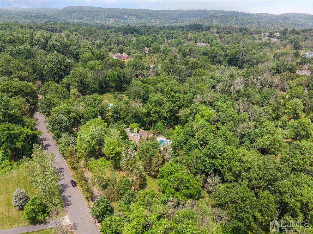 18 Lance Road Lebanon, NJ 08833 - Photo 41 of 45 a view of a forest with a street