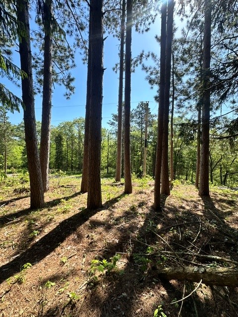 W8303 Christensen Road Trego, WI 54888 - Photo 2 of 12