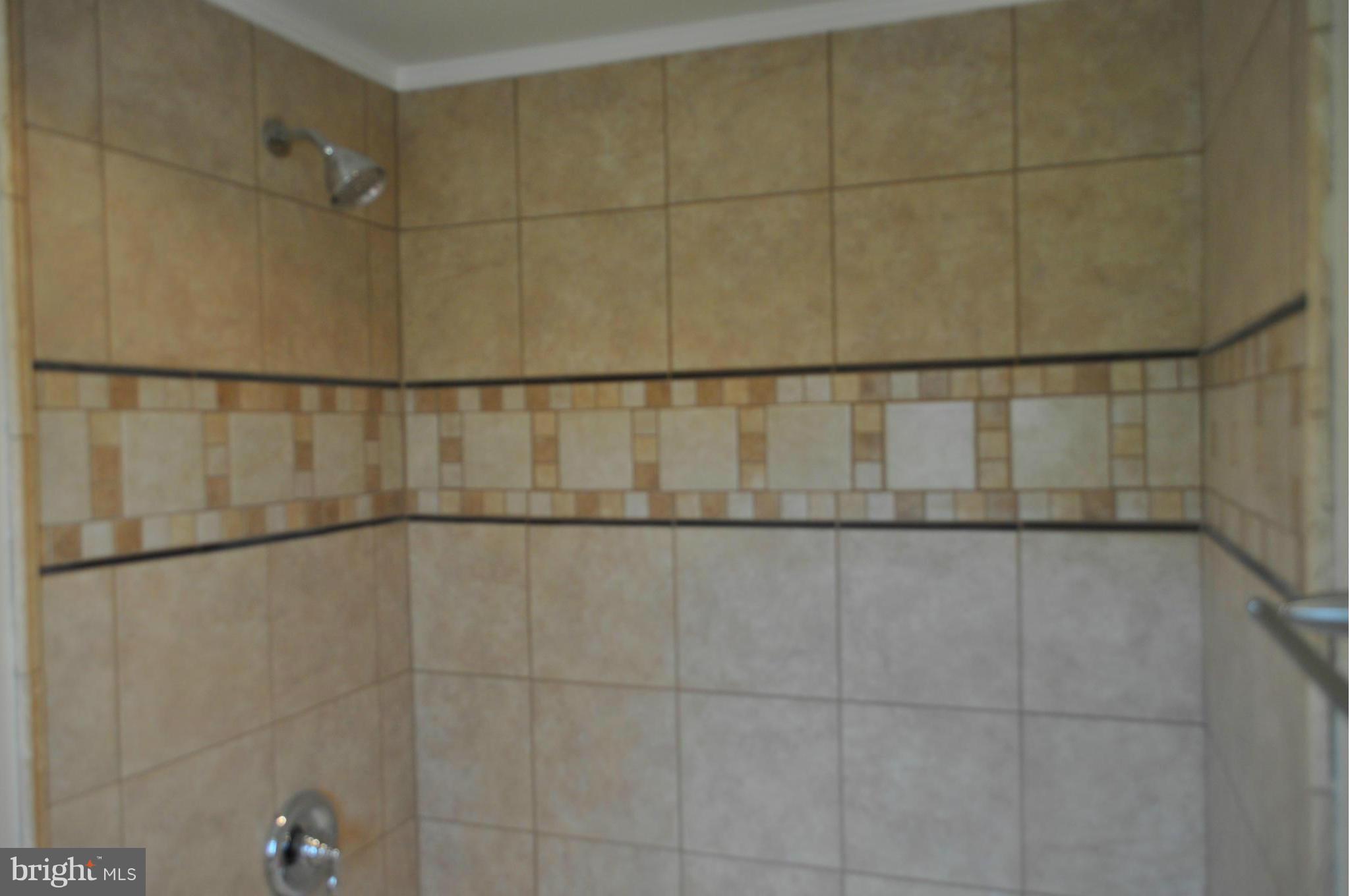 4149 Garfield Road Smithsburg, MD 21783 - Photo 20 of 30 Bath (Master)