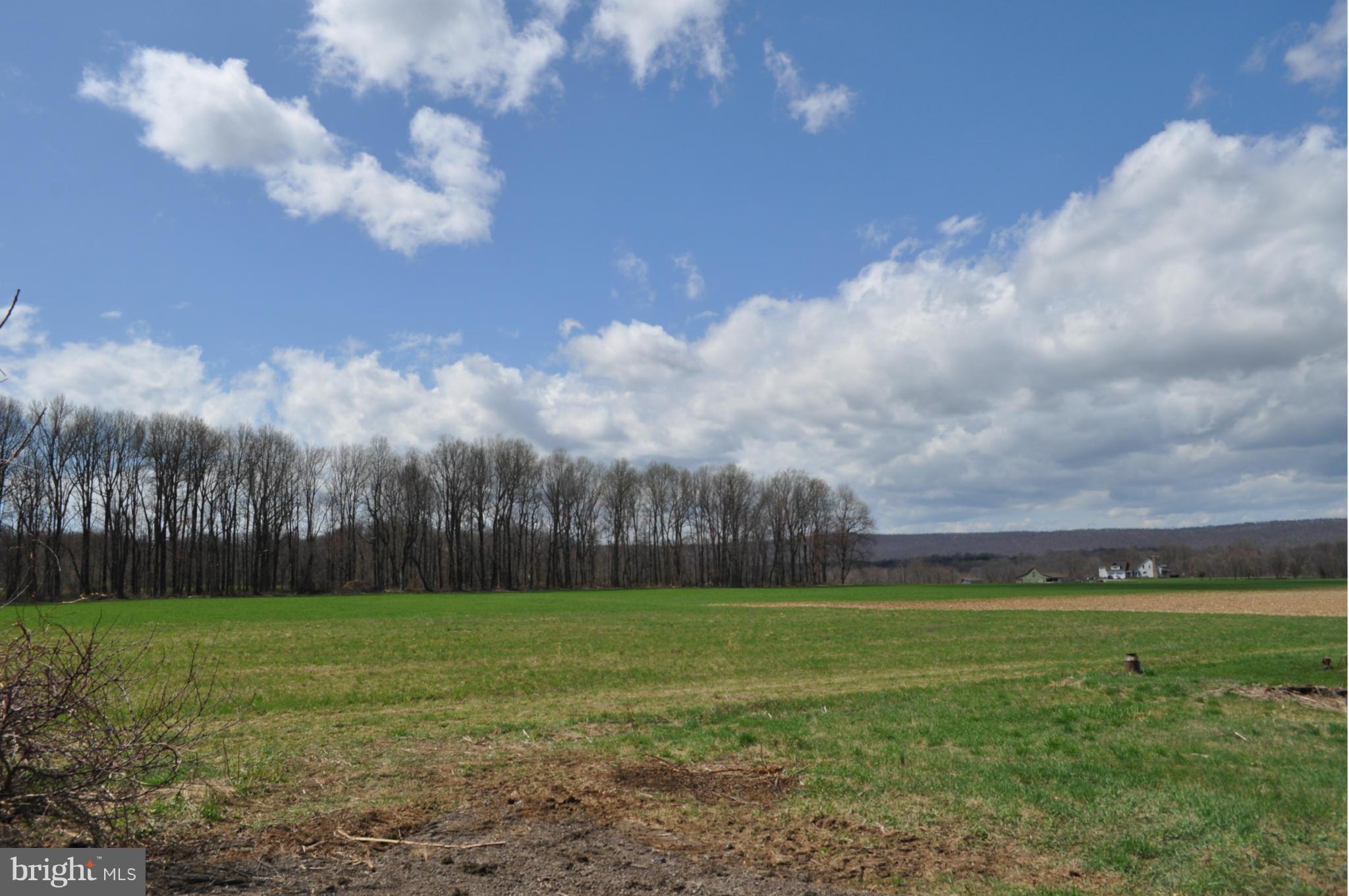 4149 Garfield Road Smithsburg, MD 21783 - Photo 6 of 30 View
