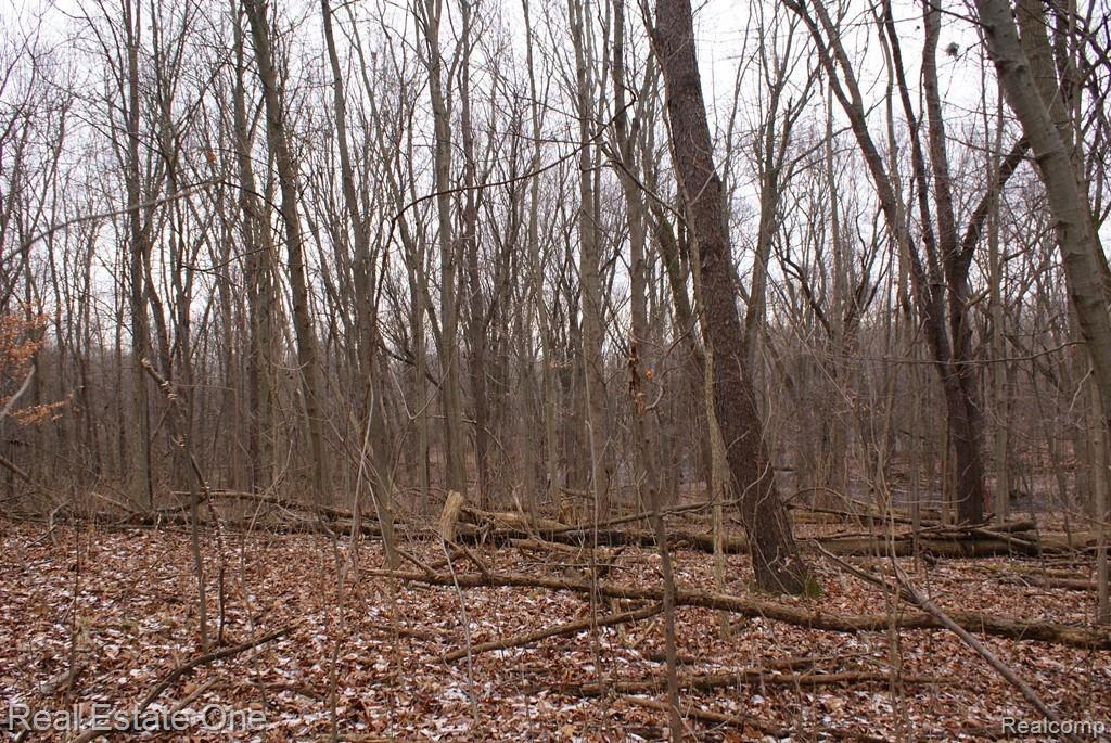 1 Gray Road Lapeer, MI 48446 - Photo 3 of 18