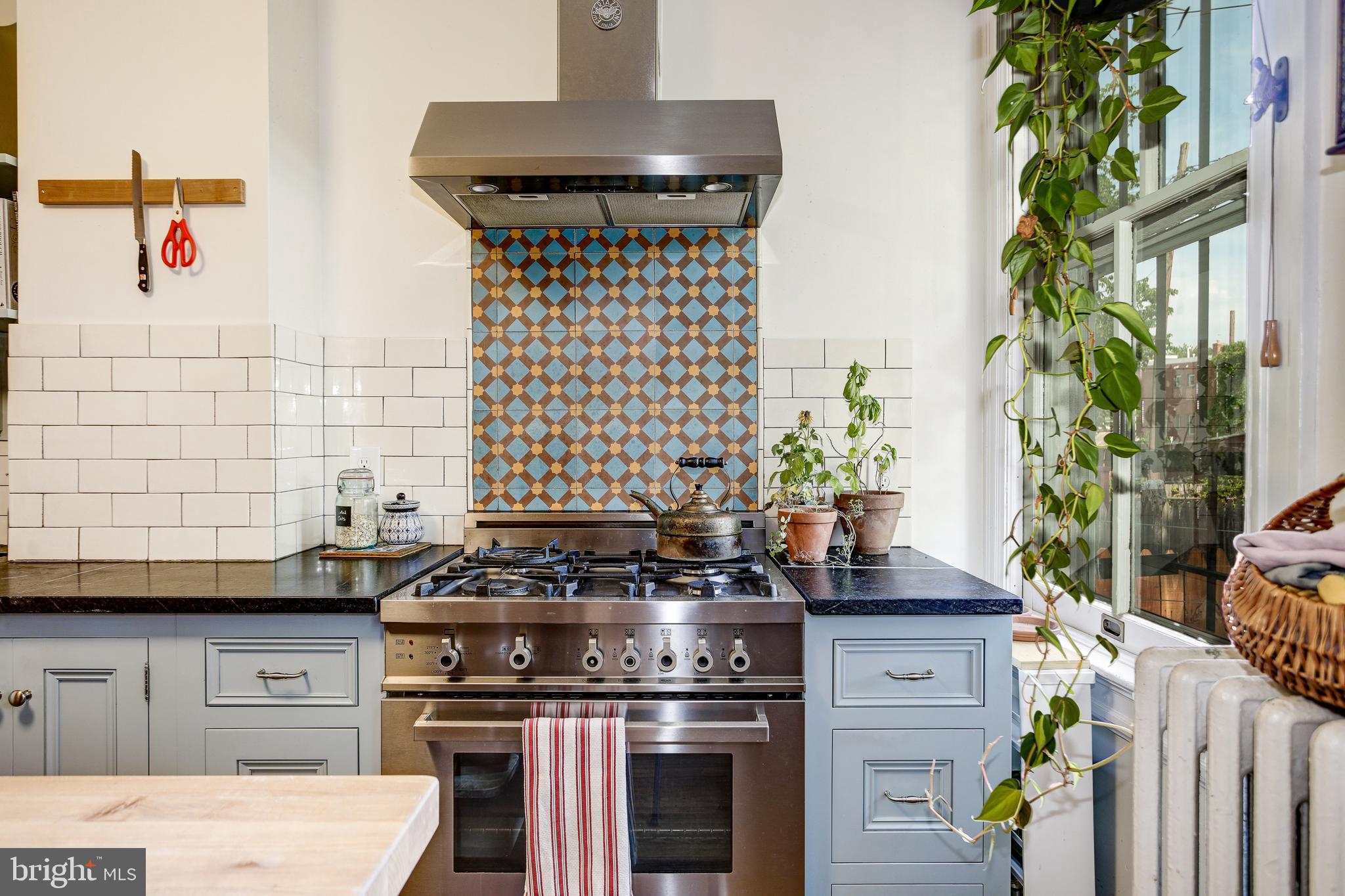 1511 D Street Southeast Washington, DC 20003 - Photo 14 of 29 Bertazzoni range