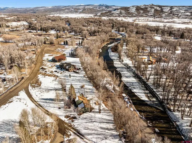 a view of park with large trees